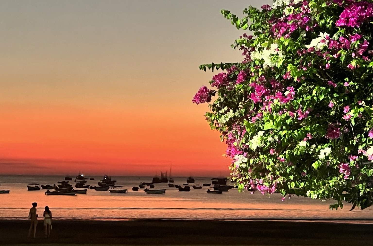 Lumière du soir